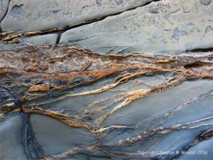 Natural pattern and texture in sedimentary rocks