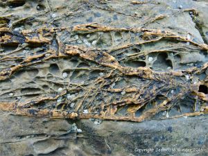Natural pattern and texture in sedimentary rocks