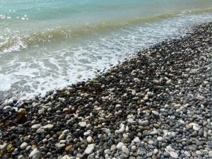 Black and white wet pebbles on a Dorset beach