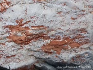 Natural pattern in a rip-rap boulder at Seatown, Dorset, England.