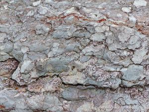 Natural pattern in a rip-rap boulder at Seatown, Dorset, England.