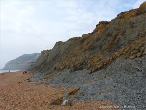 Cliffs of soft eroding Jurassic strata on the west side of Seatown in Dorset, England.