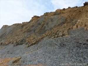 Cliffs of soft eroding Jurassic strata on the west side of Seatown in Dorset, England.