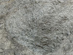 Fine folded rock layers in the cliffs at Seatown in Dorset, England