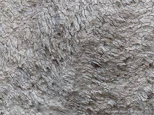 Fine folded rock layers in the cliffs at Seatown in Dorset, England