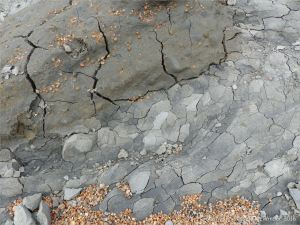 Textures on the beach at Seatown in Dorset, England.