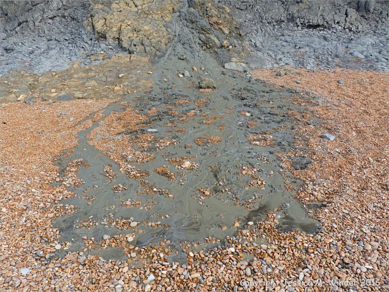Liquid mud from a mudslide oozing over the beach at Seatown