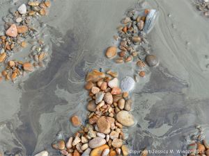 Patterns in liquid mud on the seashore