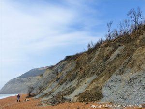 Cliff with mudslides at Seatown in Dorset, England.