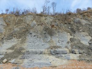 Cliff face at Seatown, Dorset, England