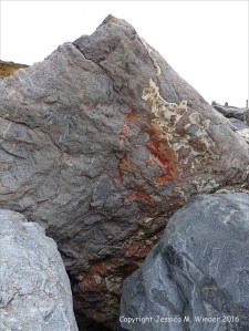 Natural pattern in a rip-rap boulder at Seatown, Dorset, England.
