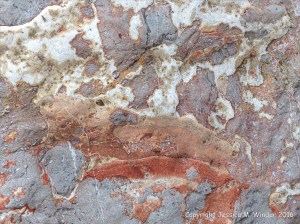 Natural pattern in a rip-rap boulder at Seatown, Dorset, England.