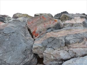 Natural pattern in a rip-rap boulder at Seatown, Dorset, England.