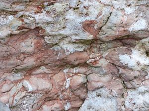 Natural pattern and texture in a rip-rap boulder at Seatown, Dorset, England.