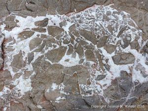 Natural pattern in a rip-rap boulder at Seatown, Dorset, England.