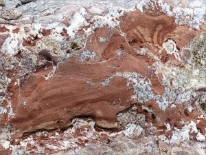 Natural pattern and texture in a rip-rap boulder at Seatown, Dorset, England.