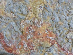 Natural pattern and texture in a rip-rap boulder at Seatown, Dorset, England.