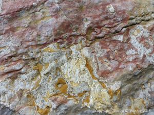 Natural pattern and texture in a rip-rap boulder at Seatown, Dorset, England.