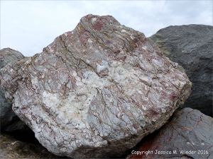 Natural pattern and texture in a rip-rap boulder at Seatown, Dorset, England.
