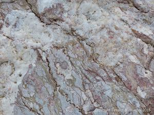 Natural pattern and texture in a rip-rap boulder at Seatown, Dorset, England.
