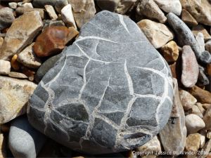 Beach stone with pattern of white calcite veins