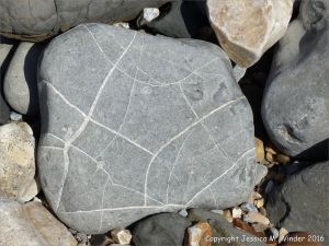 Beach stone with pattern of white calcite veins