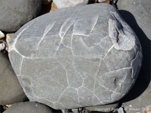 Beach stone with pattern of white calcite veins