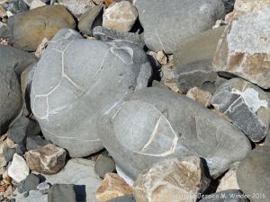 Beach stones with patterns of white calcite