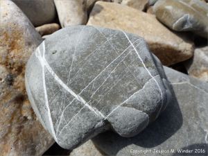 Natural pattern of white calcite veins in a beach stone