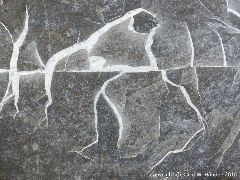 Natural pattern in a Charmouth beach stone