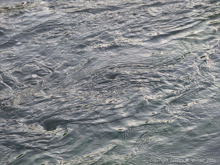 Dark swirling waters of a river at dusk