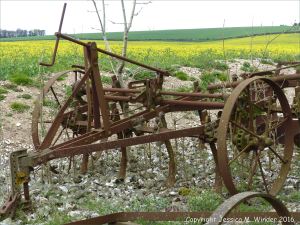 Agricultural machinery and field of flowering oilseed rape crop