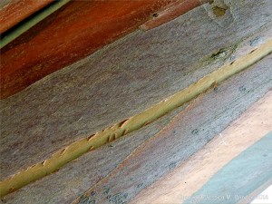 Natural pattern on a Eucalyptus tree