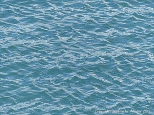 Calm blue-green sea gently rippled by the wind