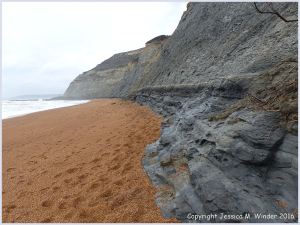Context shot of Seatown Beach where all the trace fossil burrows were photographed