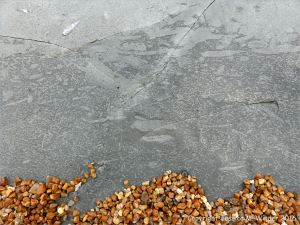 Trace or ichno fossils of marine invertebrate burrows