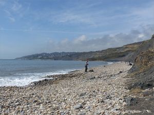 Charmouth beach where there are many stones with holes made by sea creatures. View looking west.