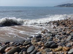Beach stones on the water's edge at Charmouth.
