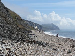 Charmouth beach where there are many stones with holes made by sea creatures. View looking east.