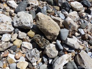 Beach stones including one with holes made by marine invertebrates at Charmouth, Dorset, England.