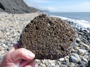 Beach stone with holes made by marine invertebrates at Charmouth, Dorset, England.