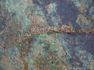 Metamorphic rock textures and colours on the Cabot Trail