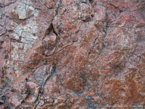 Metamorphic rock textures and colours on the Cabot Trail