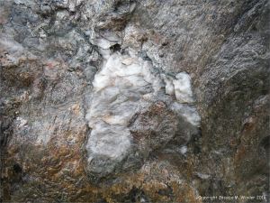 Metamorphic rock textures and colours on the Cabot Trail