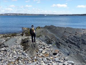 Turbidity current ripples preserved in rock