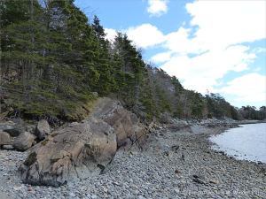 Bluestone Formation rocks at Point Pleasant Park, Halifax, Nova Scotia.