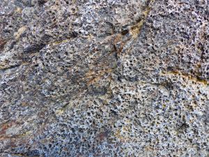 Detail of pitted texture in Bluestone Formation rock in Galifax, Nova Scotia