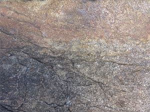 Detail of pitted texture in Bluestone Formation rock in Galifax, Nova Scotia