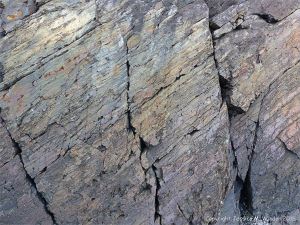Bluestone Formation rocks at Point Pleasant Park, Halifax, Nova Scotia.