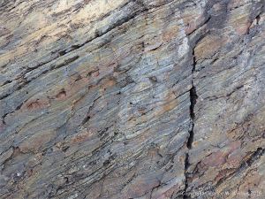 Bluestone Formation rocks at Point Pleasant Park, Halifax, Nova Scotia.